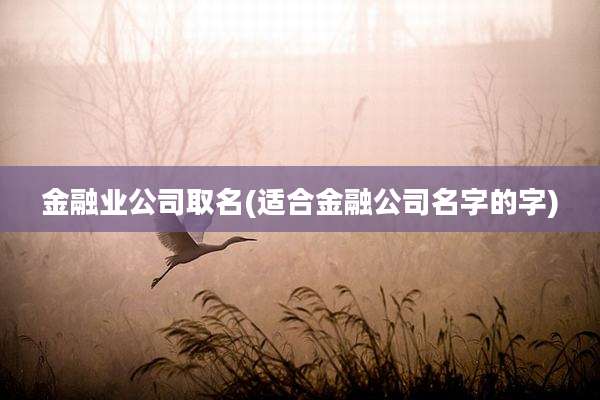 金融业公司取名(适合金融公司名字的字)