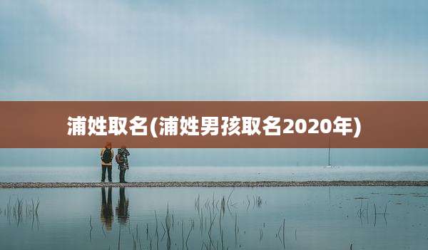 浦姓取名(浦姓男孩取名2020年)