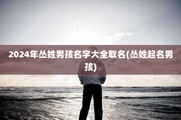 2024年丛姓男孩名字大全取名(丛姓起名男孩)