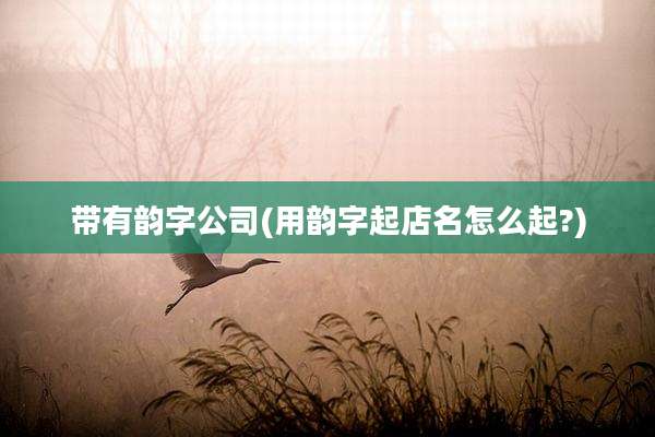 带有韵字公司(用韵字起店名怎么起?)
