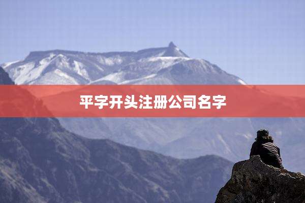 平字开头注册公司名字