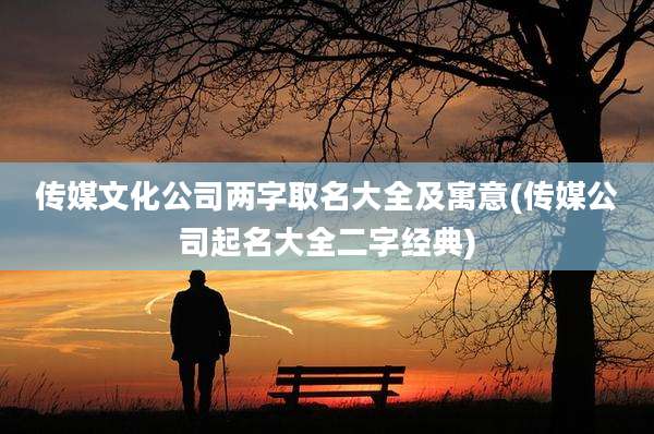 传媒文化公司两字取名大全及寓意(传媒公司起名大全二字经典)
