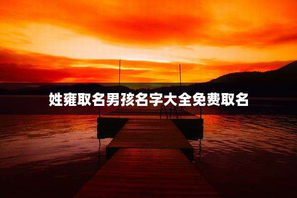姓雍取名男孩名字大全免费取名