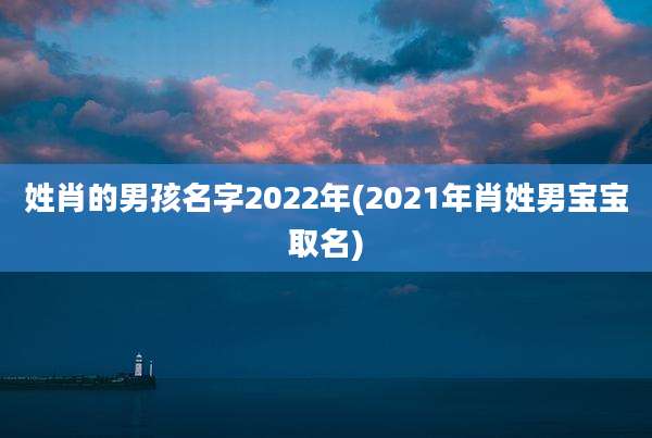 姓肖的男孩名字2022年(2021年肖姓男宝宝取名)