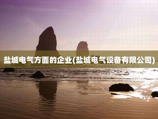 盐城电气方面的企业(盐城电气设备有限公司)