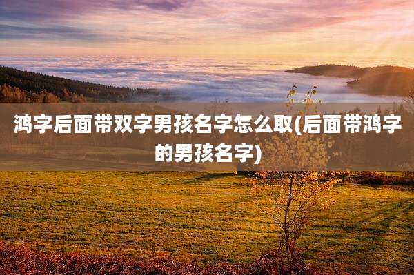 鸿字后面带双字男孩名字怎么取(后面带鸿字的男孩名字)