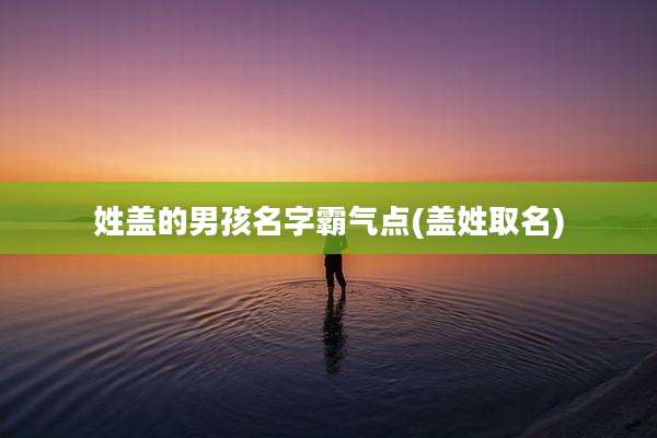 姓盖的男孩名字霸气点(盖姓取名)