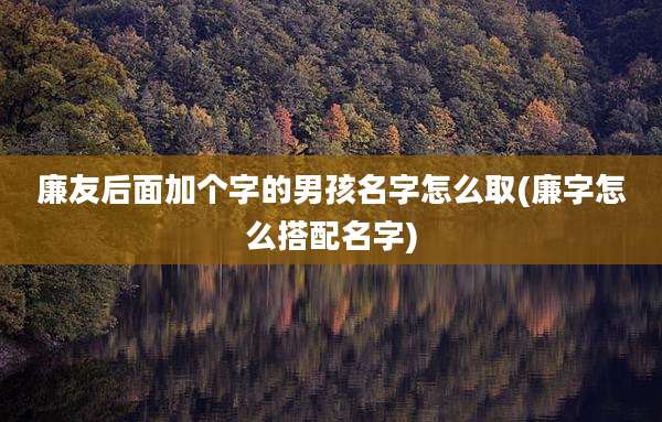 廉友后面加个字的男孩名字怎么取(廉字怎么搭配名字)