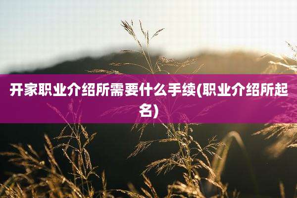 开家职业介绍所需要什么手续(职业介绍所起名)