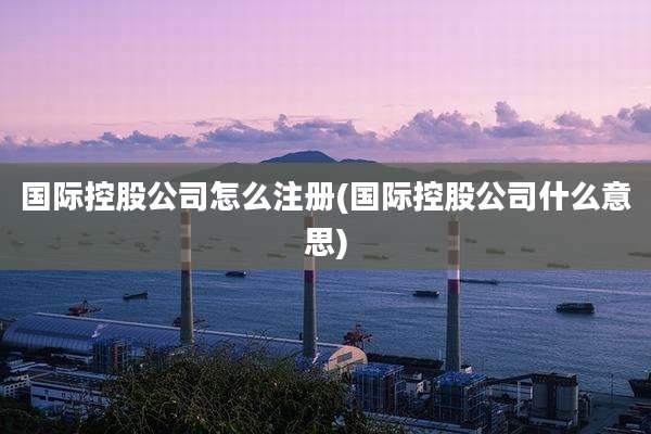 国际控股公司怎么注册(国际控股公司什么意思)