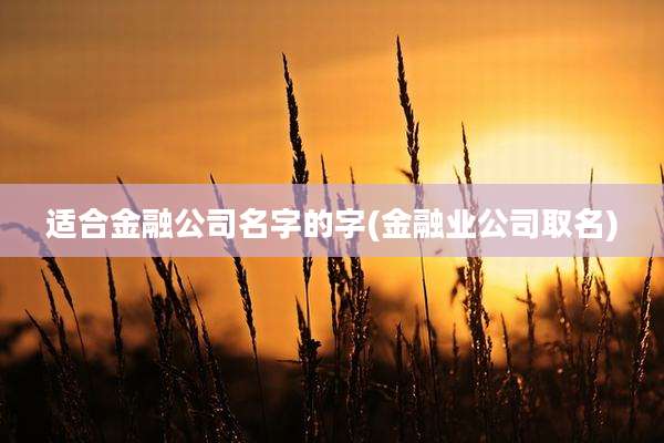 适合金融公司名字的字(金融业公司取名)