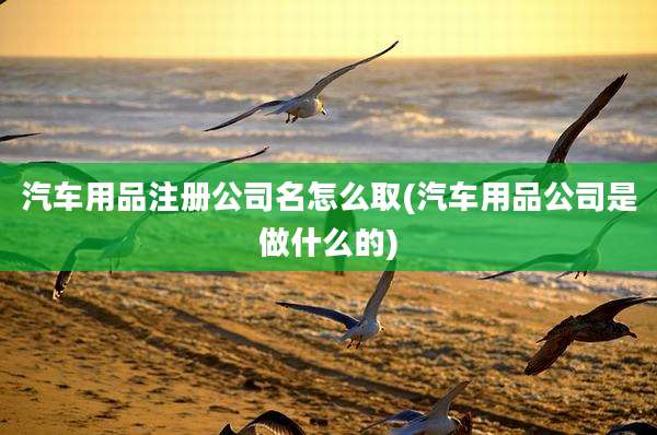 汽车用品注册公司名怎么取(汽车用品公司是做什么的)