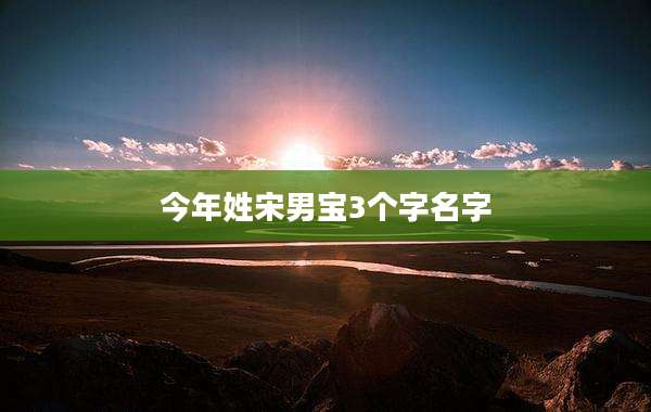 今年姓宋男宝3个字名字