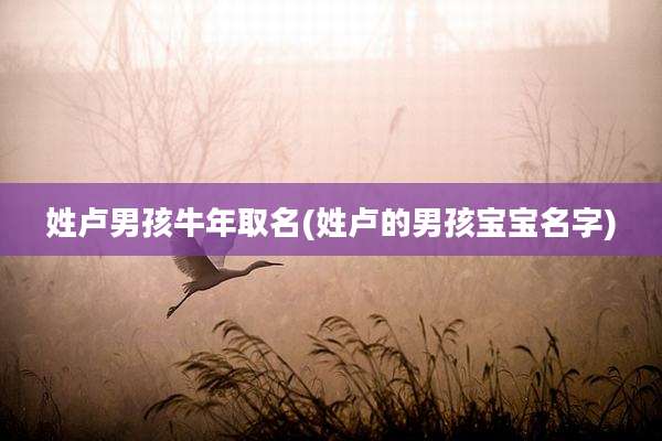 姓卢男孩牛年取名(姓卢的男孩宝宝名字)