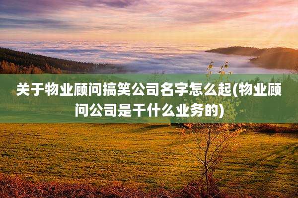 关于物业顾问搞笑公司名字怎么起(物业顾问公司是干什么业务的)