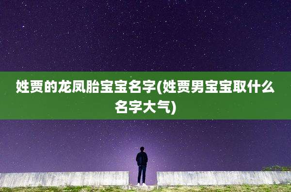 姓贾的龙凤胎宝宝名字(姓贾男宝宝取什么名字大气)