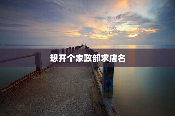 想开个家政部求店名