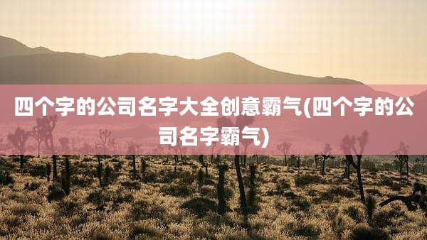 四个字的公司名字大全创意霸气(四个字的公司名字霸气)