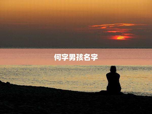 何字男孩名字