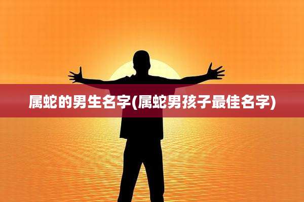 属蛇的男生名字(属蛇男孩子最佳名字)