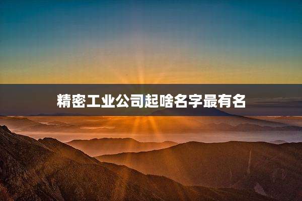 精密工业公司起啥名字最有名