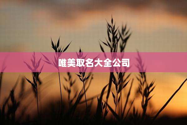 唯美取名大全公司