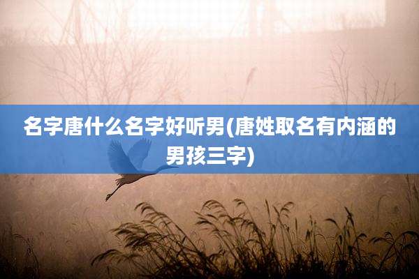 名字唐什么名字好听男(唐姓取名有内涵的男孩三字)