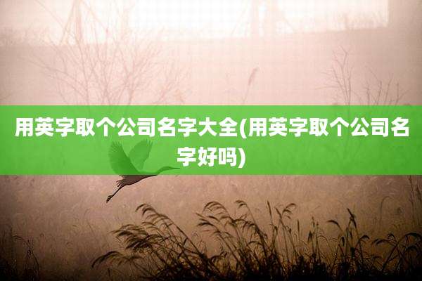 用英字取个公司名字大全(用英字取个公司名字好吗)