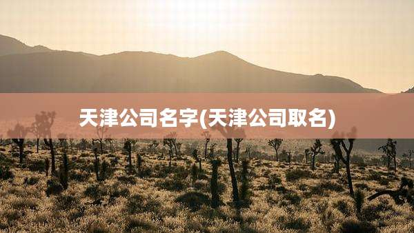 天津公司名字(天津公司取名)