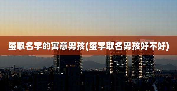 玺取名字的寓意男孩(玺字取名男孩好不好)