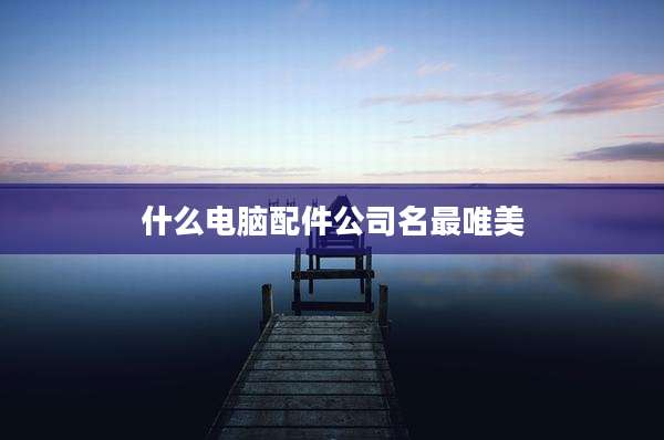 什么电脑配件公司名最唯美