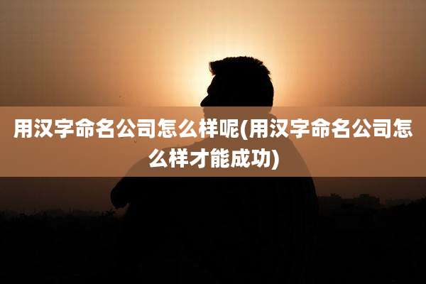 用汉字命名公司怎么样呢(用汉字命名公司怎么样才能成功)