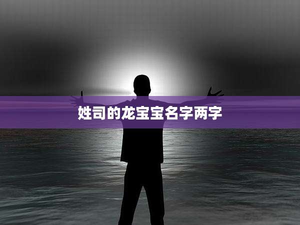姓司的龙宝宝名字两字
