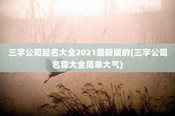 三字公司起名大全2021最新版的(三字公司名称大全简单大气)