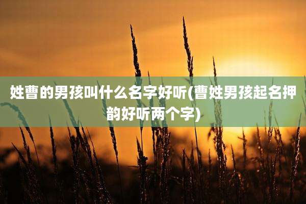 姓曹的男孩叫什么名字好听(曹姓男孩起名押韵好听两个字)