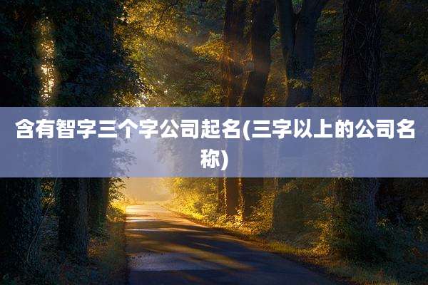 含有智字三个字公司起名(三字以上的公司名称)
