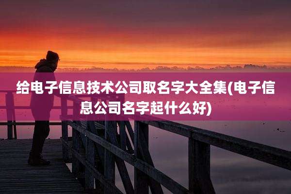 给电子信息技术公司取名字大全集(电子信息公司名字起什么好)