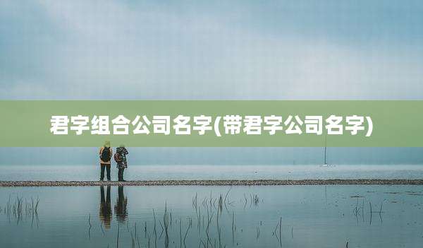 君字组合公司名字(带君字公司名字)