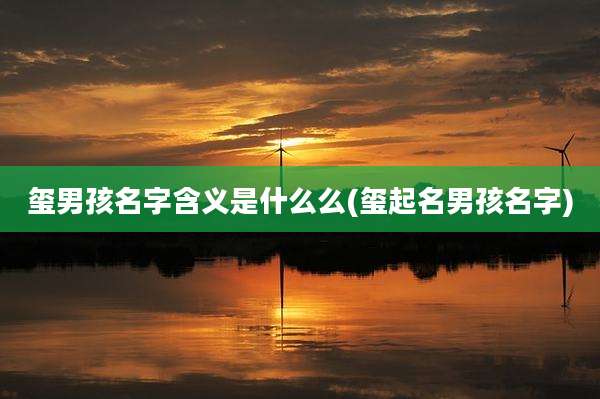 玺男孩名字含义是什么么(玺起名男孩名字)