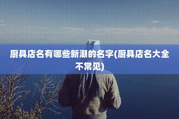 厨具店名有哪些新潮的名字(厨具店名大全不常见)