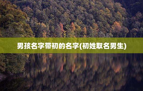 男孩名字带初的名字(初姓取名男生)