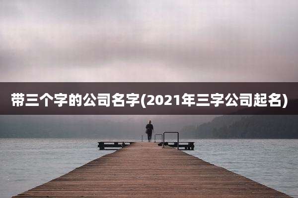 带三个字的公司名字(2021年三字公司起名)