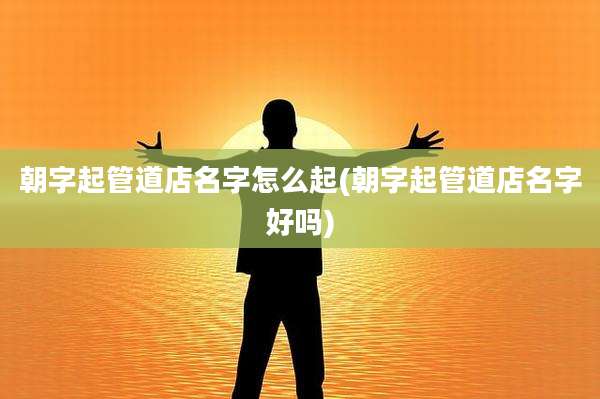 朝字起管道店名字怎么起(朝字起管道店名字好吗)