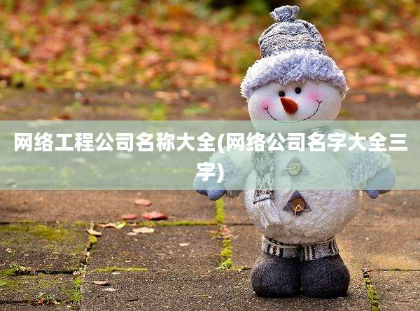 网络工程公司名称大全(网络公司名字大全三字)