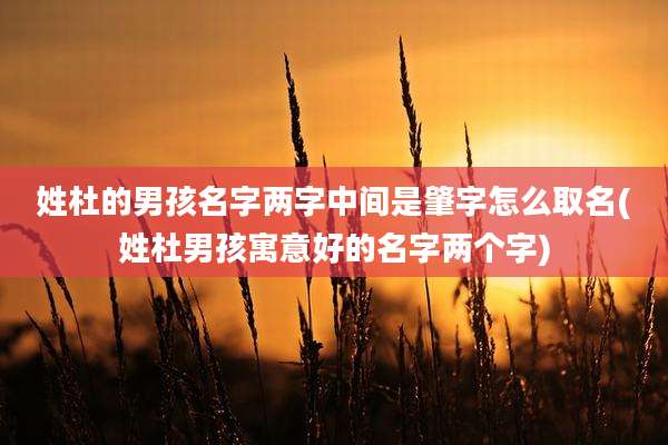 姓杜的男孩名字两字中间是肇字怎么取名(姓杜男孩寓意好的名字两个字)