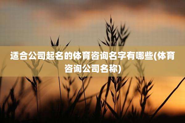 适合公司起名的体育咨询名字有哪些(体育咨询公司名称)