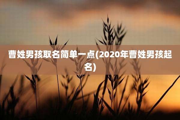 曹姓男孩取名简单一点(2020年曹姓男孩起名)