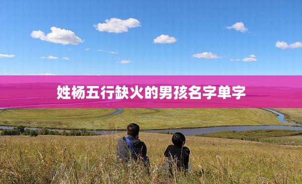 姓杨五行缺火的男孩名字单字