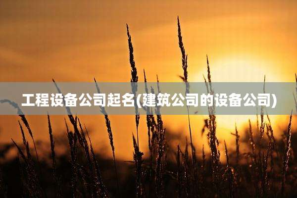 工程设备公司起名(建筑公司的设备公司)