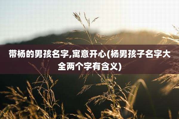 带杨的男孩名字,寓意开心(杨男孩子名字大全两个字有含义)